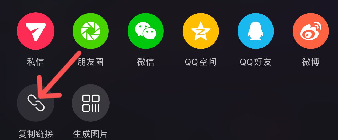 粘贴链接并查询